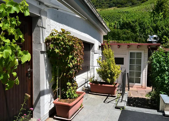 Am Stadtpalais Haus Weinberg * Commune fusionnée de Bernkastel-Kues